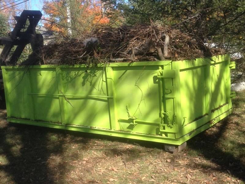 Why Should You Rent a Dumpster for Tree Trimming