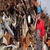 Factors to Consider When Choosing a Waste Partner