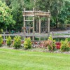 Design Elements for Your Backyard