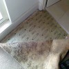 Dumpster Services for Water Damage Companies